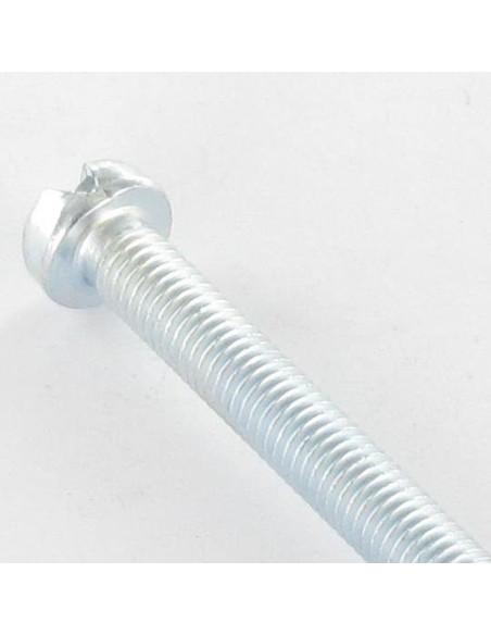 1 x Metalliruuvit Lieriöpää Halkaistu M6X20 Sinkitty teräs