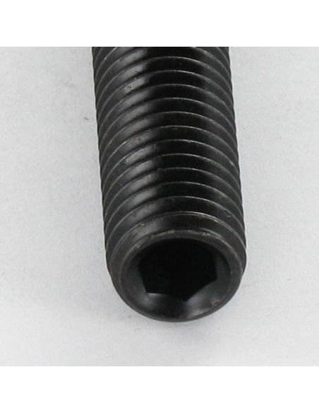 1 x Metalliruuvit Päätön kuusiokoloruuvi (sthc / sans tête six pans creux) Avain 2 HC2 M4X5 Litteä pää Raakateräs