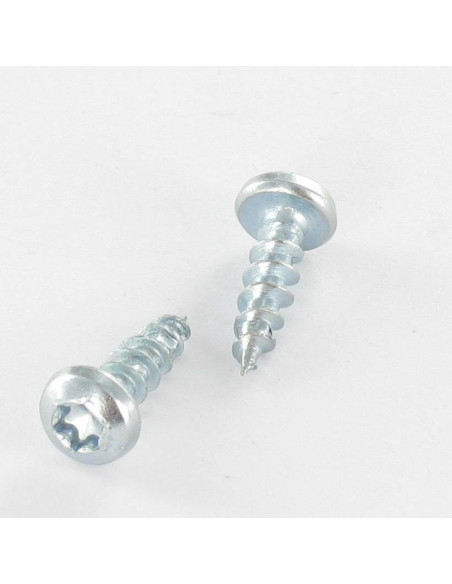 1 x VBA3 Pyöreä pää TORX 5x40 TORX T20 Sinkitty teräs