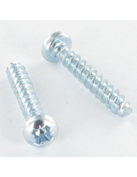 1 x PVC-ruuvi Kupumainen lieriöpää Pozi PZ10 4X30 Sinkitty teräs