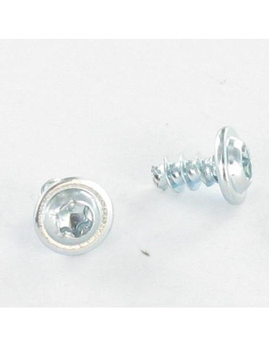 1 x PVC-ruuvi "Kupolipultti TORX 4X20 Sinkitty...