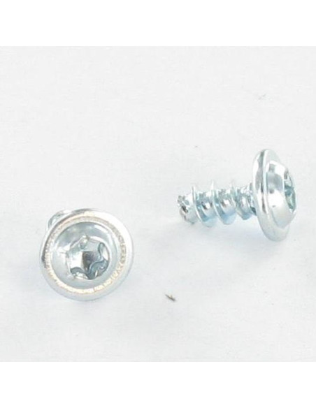 1 x PVC-ruuvi "Kupolipultti TORX 4X20 Sinkitty teräs