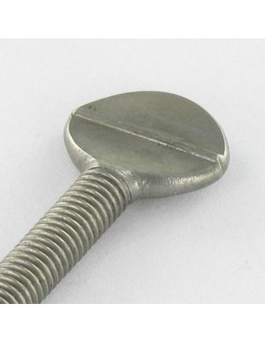 1 x Ruuvi VIULU M10X50 Ruostumaton teräs A2