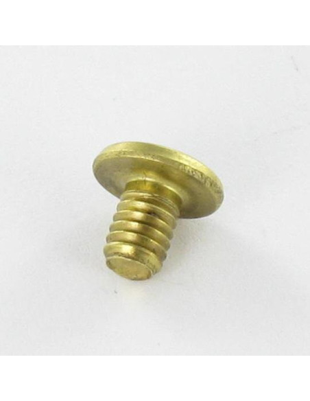 1 x SULJIN Messinki Litteä pää 4.3X6 TORX T9 Jakso 1.5