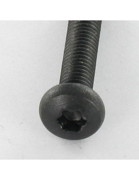 1 x Metalliruuvit leveä kupukantainen Ruostumaton teräs A2 M5X25 Musta TORX T20
