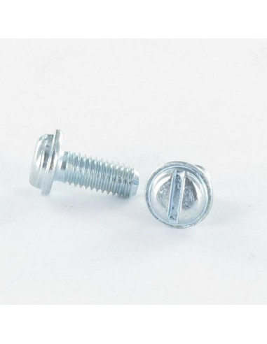 1 x Metalliruuvit Lieriöpää Halkaistu M3X6 TORX...