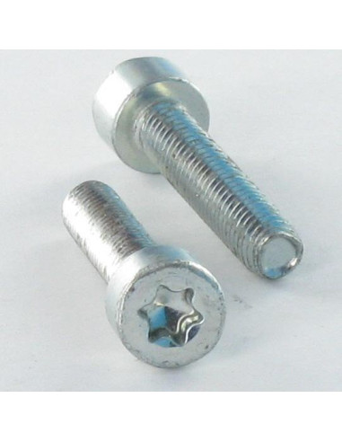 1 x Itsekierteittävä ruuvi Lieriöpää M4X10 TORX...
