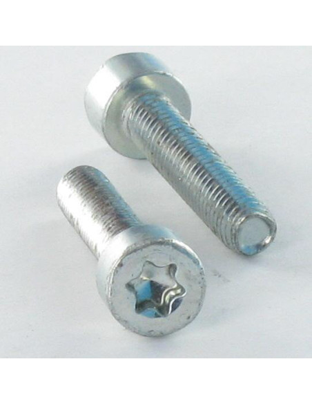 1 x Itsekierteittävä ruuvi Lieriöpää M4X12 TORX T20 Sinkitty teräs