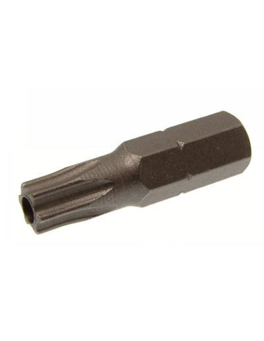 1 x Kärki Väärinkäytöltä suojattu TORX T20