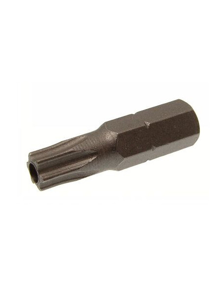 1 x Kärki Väärinkäytöltä suojattu TORX T45