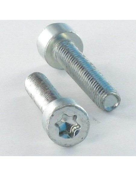 1 x Itsekierteittävä ruuvi Lieriöpää M6X25 TORX T30 Sinkitty teräs