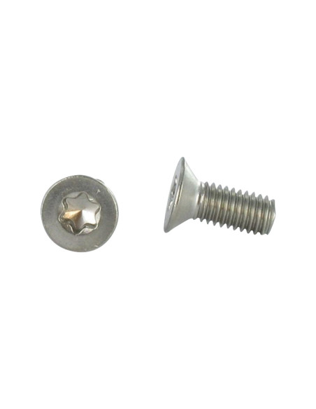 1 x Metalliruuvit uppokantainen M6X25 TORX T30 Ruostumaton teräs A2