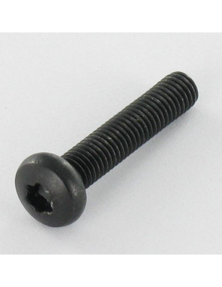 1 x Metalliruuvit leveä kupukantainen Ruostumaton teräs A2 M5X25 Musta TORX T20