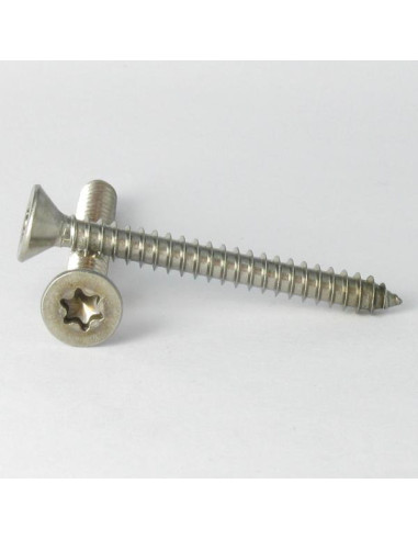 1 x Levyruuvi uppokantainen 4.2X38 TORX T20...