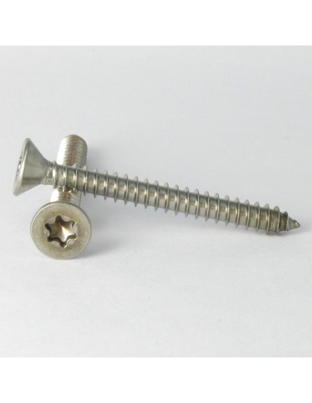 1 x Levyruuvi uppokantainen 4.2X38 TORX T20 Ruostumaton teräs A2