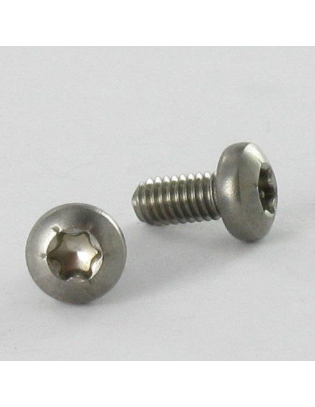 1 x Itsekierteittävä ruuvi Ruostumaton teräs A2 Kupumainen lieriöpää TORX 4x8 TORX T20