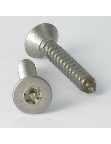 1 x Levyruuvi Väärinkäytöltä suojattu Ruostumaton teräs A2 uppokantainen TORX T25 tapilla 4,8x38