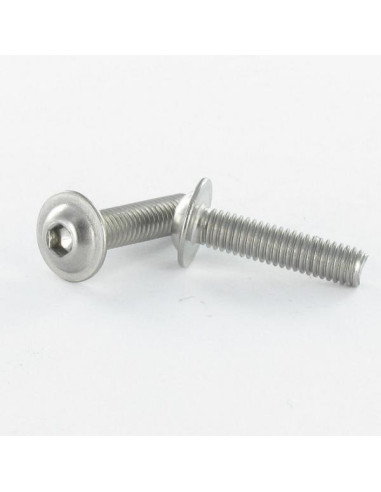 1 x Metalliruuvit BHC (Bombée Hexagonal creux /...