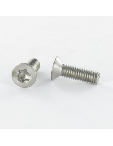 1 x Metalliruuvit uppokantainen TORX T25 M5X20...