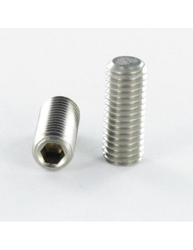 1 x Metalliruuvit Päätön kuusiokoloruuvi (sthc...