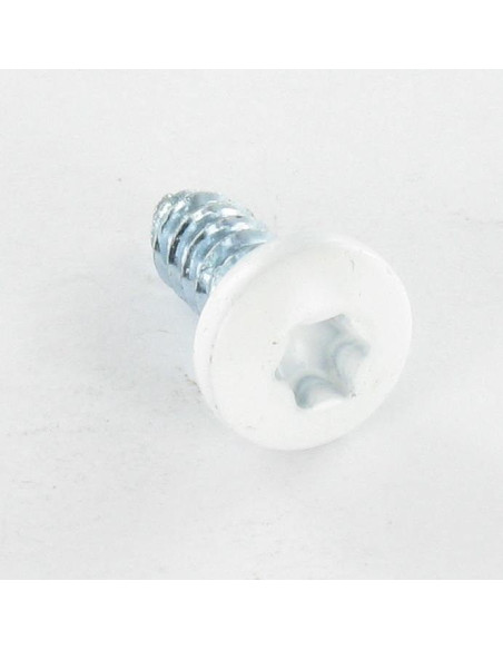 1 x Levyruuvi Lieriöpää Uritettu 6.3X16 TORX T30 Sinkitty teräs RAL 9016 signaalivalkoinen
