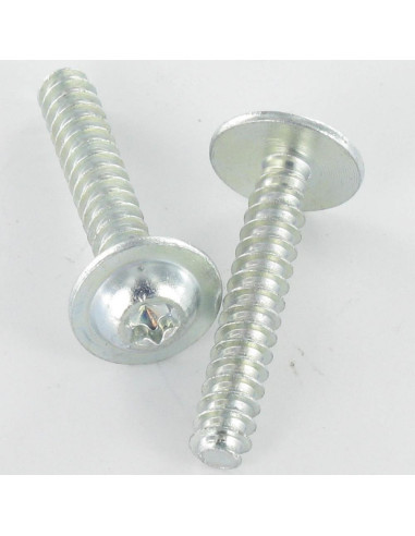 1 x PVC-ruuvi Pyöreä suuri pää 5X30 TORX T25...