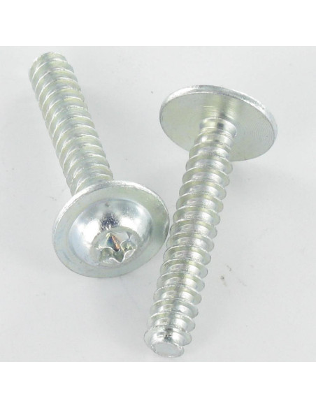 1 x PVC-ruuvi Pyöreä suuri pää 5X30 TORX T25 Sinkitty teräs