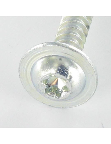 1 x PVC-ruuvi Pyöreä suuri pää 5X30 TORX T25 Sinkitty teräs