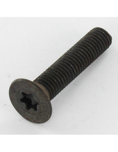 1 x Metalliruuvit uppokantainen TORX T20 M4X6...
