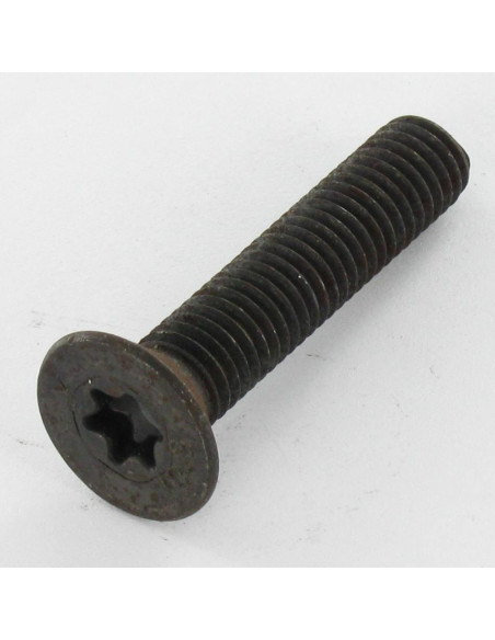 1 x Metalliruuvit uppokantainen TORX T20 M4X12 Luokka 10.9 Raakateräs