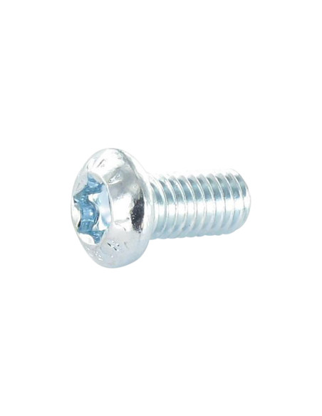 1 x Metalliruuvit Kupupää TORX T30 M6X12 Luokka 8.8 Sinkitty teräs