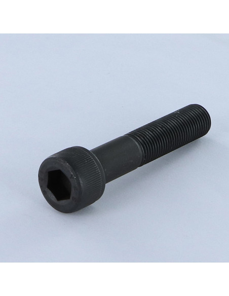 1 x Metalliruuvit "Lieriömäinen kuusiokoloruuvi M20X50 Kokonaan kierteytetty Luokka 10.9 Hienokierre P150HC17