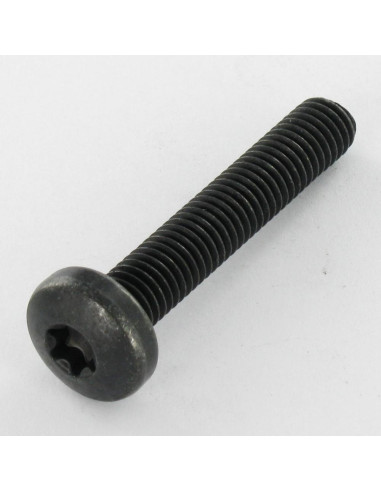1 x Metalliruuvit Kupupää TORX T40 M8x45 Luokka...