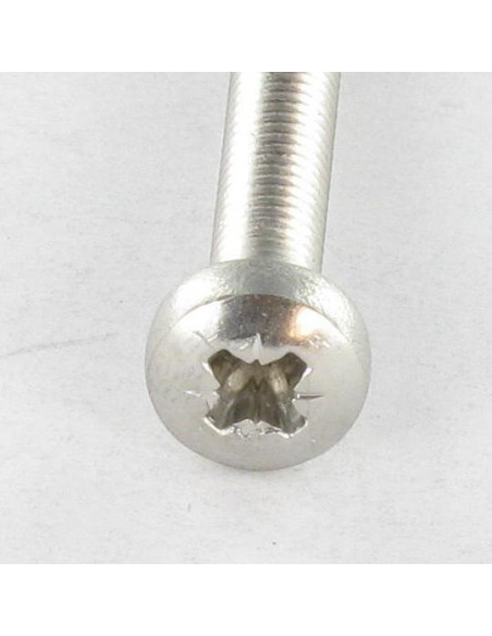 1 x Metalliruuvit leveä kupukantainen Pozi PZ11 M6X90 Ruostumaton teräs A4