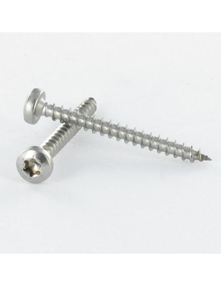 1 x Puuruuvi Pyöreä pää TORX T20 4X20 Ruostumaton teräs A4