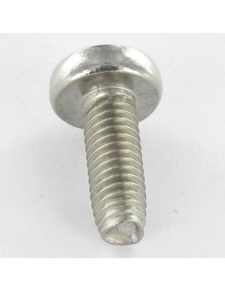1 x Itsekierteittävä ruuvi Kupumainen lieriöpää TORX T30 M6X30 Ruostumaton teräs A2