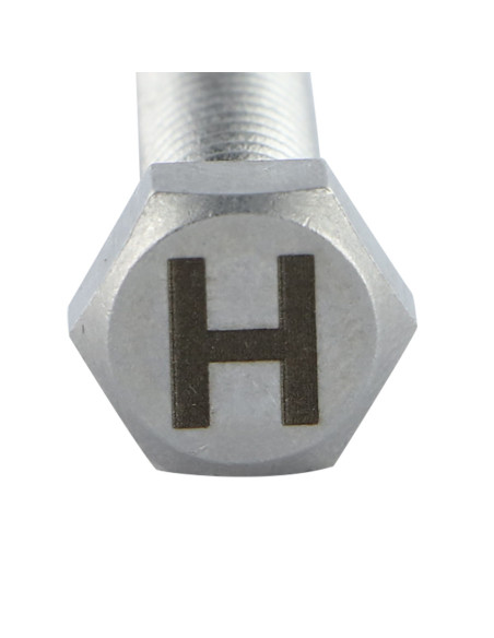 1 x Metalliruuvit Kuusiopää TH 8x35 Ruostumaton teräs A4 kirjainkaiverruksella "H"