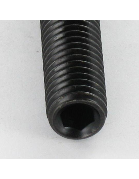 1 x Metalliruuvit Päätön kuusiokoloruuvi (sthc / sans tête six pans creux) Avain 5 HC5 M10X55 Litteä pää