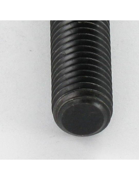 1 x Metalliruuvit Päätön kuusiokoloruuvi (sthc / sans tête six pans creux) Avain 5 HC5 M10X55 Litteä pää