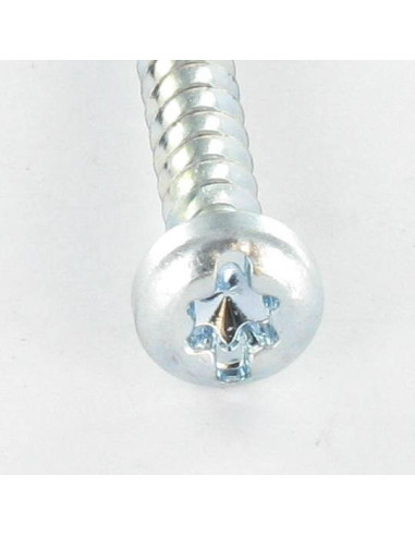 1 x PVC-ruuvi Lieriöpää TORX T25 /PUOLUSTA 5X12...