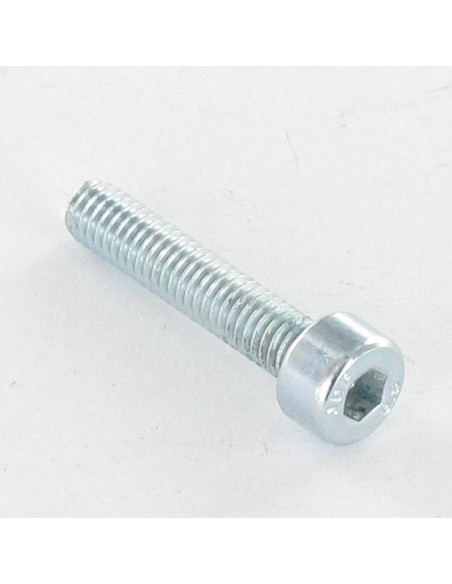 1 x Metalliruuvit "Lieriömäinen kuusiokoloruuvi M12x50 Kokonaan kierteytetty Luokka 10.9 Sinkitty teräs