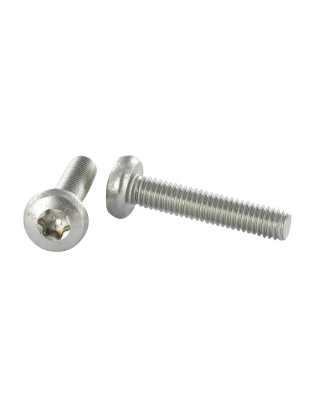 1 x Metalliruuvit leveä kupukantainen TORX T20 M4X25 Ruostumaton teräs A4