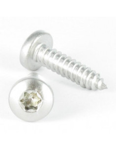 Ruuvi Levyruuvi leveä kupukantainen TORX T25 4,8 x 9,5...
