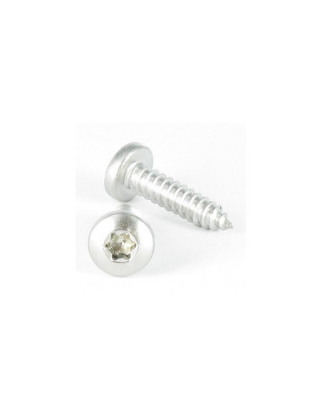 1 x Ruuvi Levyruuvi leveä kupukantainen TORX T25 4,8 x 9,5 Ruostumaton teräs A4