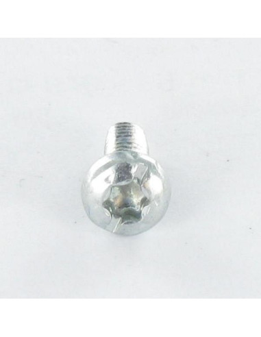 1 x Itsekierteittävä ruuvi Lieriöpää TORX...