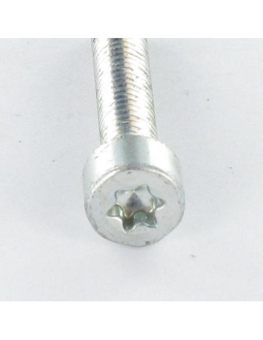 1 x Itsekierteittävä ruuvi Lieriöpää M6X16 TORX...