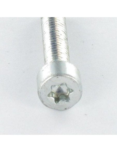 1 x Itsekierteittävä ruuvi Lieriöpää M6X16 TORX T30 Sinkitty teräs
