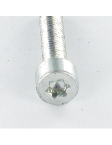 1 x Itsekierteittävä ruuvi Lieriöpää M4X12 TORX...
