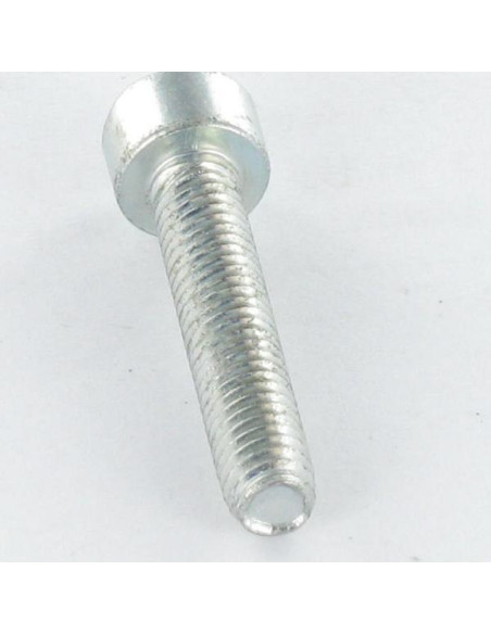 1 x Itsekierteittävä ruuvi Lieriöpää M4X10 TORX T20 Sinkitty teräs