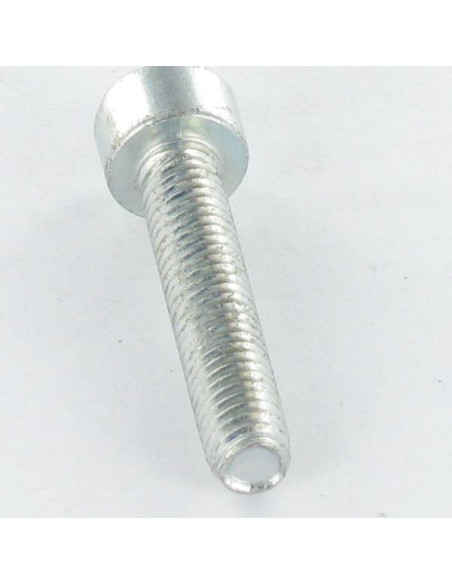 1 x Itsekierteittävä ruuvi Lieriöpää M4X12 TORX T20 Sinkitty teräs